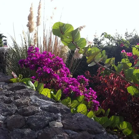 Διαμέρισμα Apartamento Paraiso Del Sur Playa Paraiso (Tenerife)
